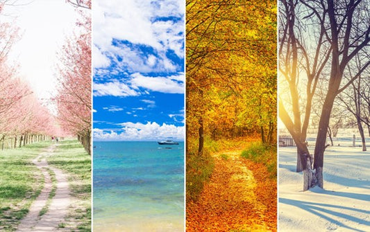 スタッフブログ - 腕時計と四季