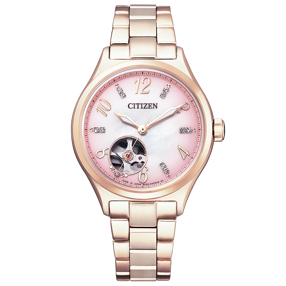 CITIZEN COLLECTION PC1005-87X