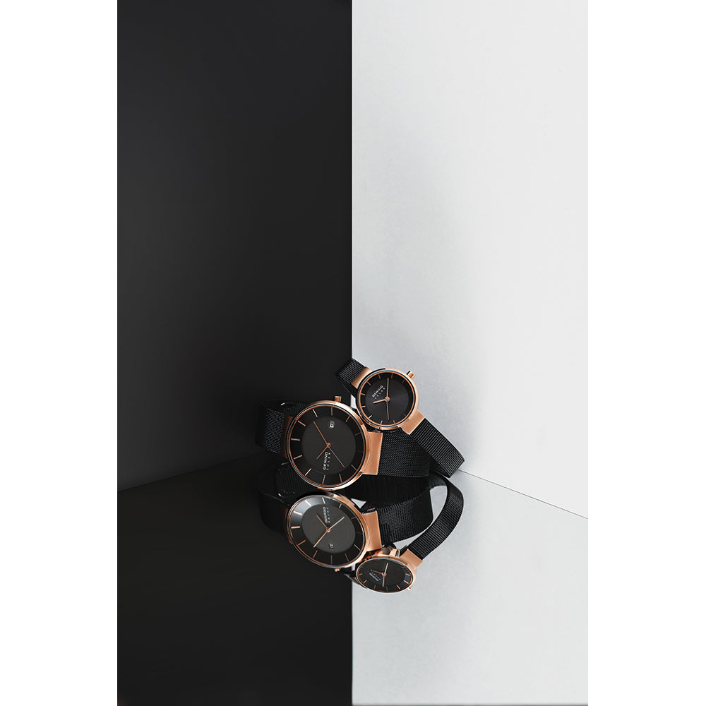 BERING Scandinavian Solar 14639-166 ベーリング 腕時計