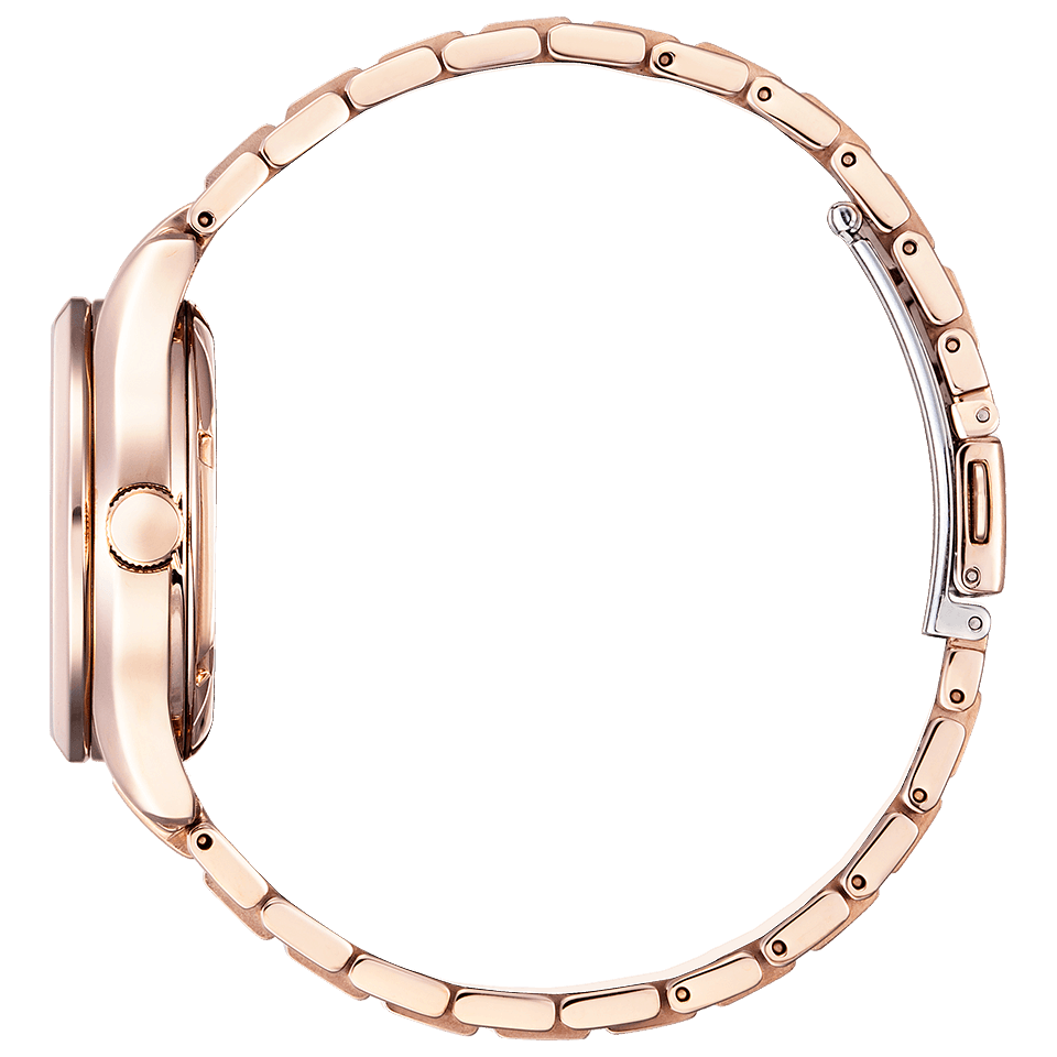 CITIZEN COLLECTION PC1005-87X