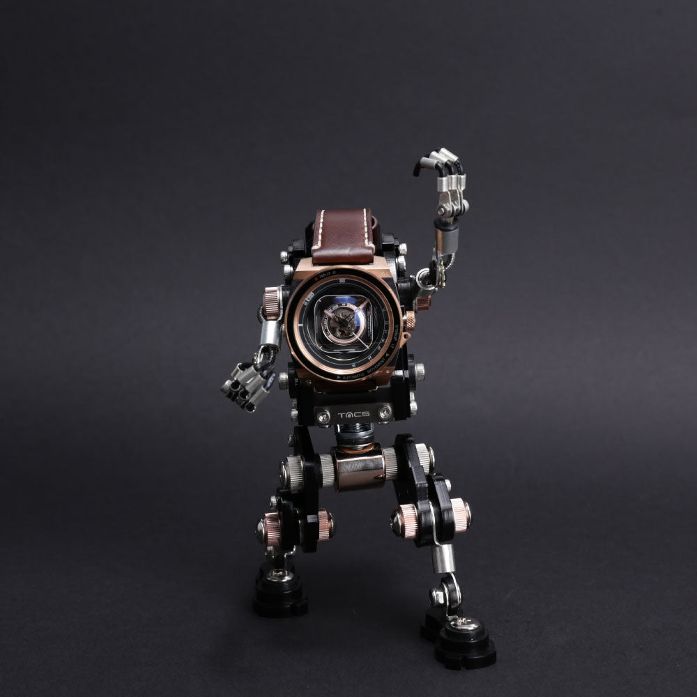 TACS LENS AUTOMATIC II TS1803O AVLⅡ Bronze×Robotoys 限定BOXセット 世界限定500個 タックス 腕時計 メンズ