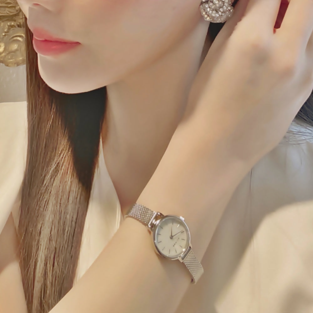 BERING Classic Mini Silver 11022-004  ベーリング レディース腕時計 クラシックミニ シルバー メッシュベルト