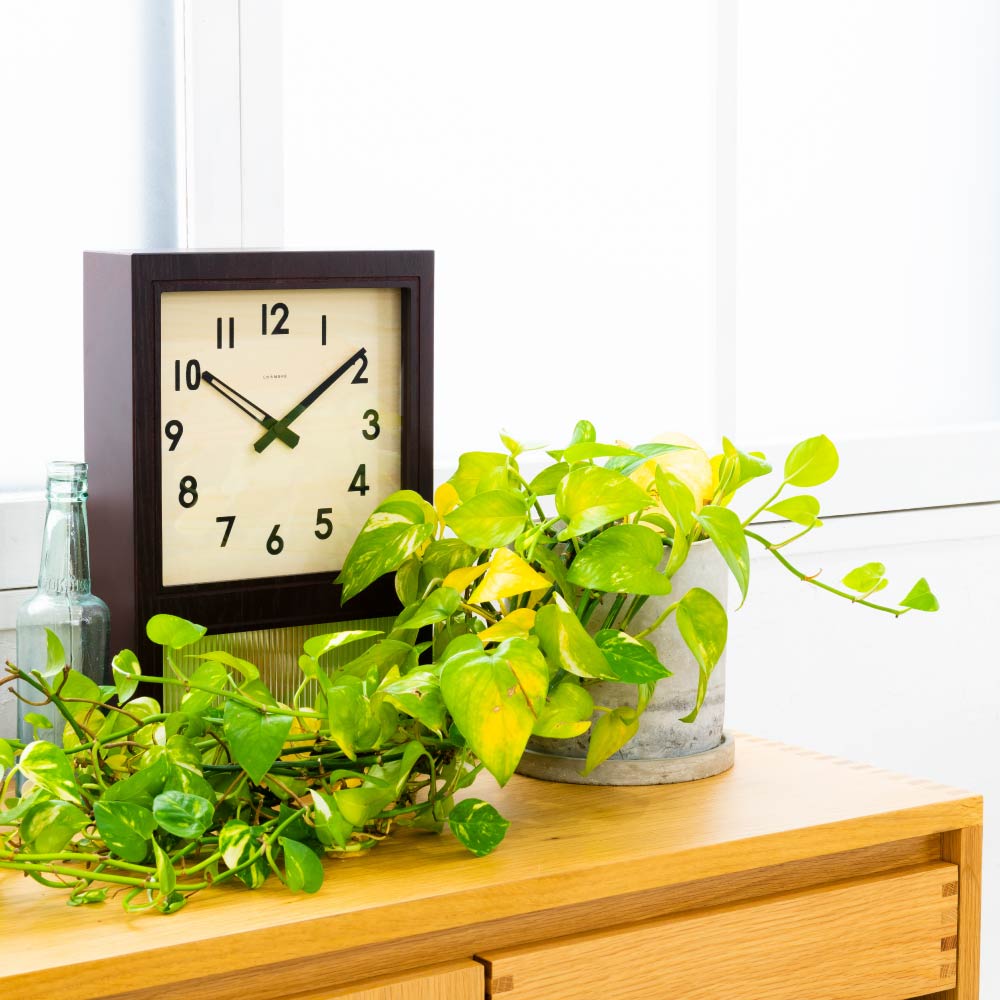 CHAMBRE FROSTED PENDULUM CLOCK DARK BROWN CH-037DB シャンブル 壁掛け時計