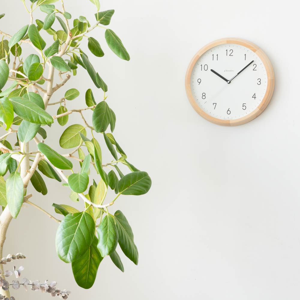 CHAMBRE BRUNCH CLOCK NATURAL MILK CH-056BC 電波時計 シャンブル 壁掛け時計