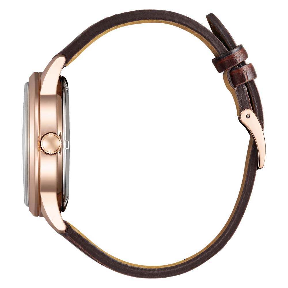 ＜2026年9月10日発売予定＞CITIZEN COLLECTION NJ0252-05A シチズン コレクション 腕時計 メンズ 自動巻き オートマチック