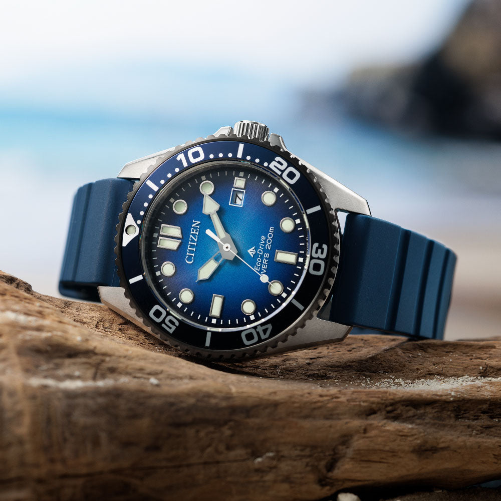 CITIZEN PROMASTER MARINE BN0267-04L シチズン プロマスター マリン