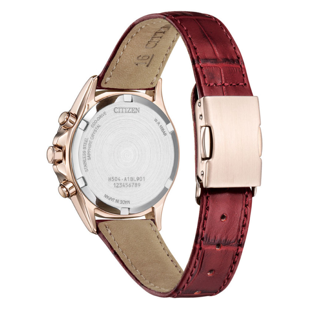 CITIZEN xC basic collection FB1405-15W 限定モデル1,100本 シチズン
